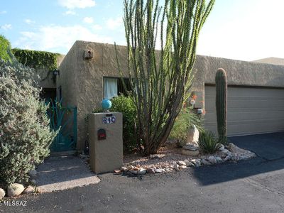 810 E Placita Del Mirador