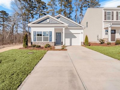 304 Pinaster Path