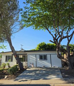 216 Los Gatos Avenue