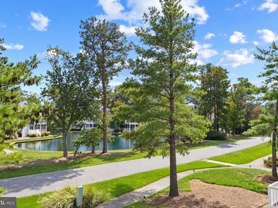 39259 Bayberry Ct Unit 16003