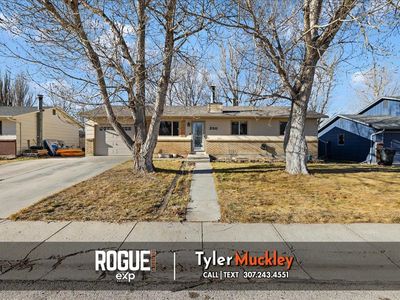 240 Indian Paintbrush St