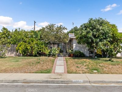 4256 Fauna St