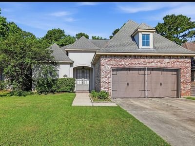 633 Brown Thrasher Loop N